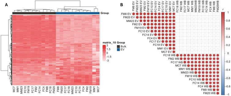 Altered proteomics in brain extracellular vesicles from depressed individuals who died by suicide implicates synaptic processes.
