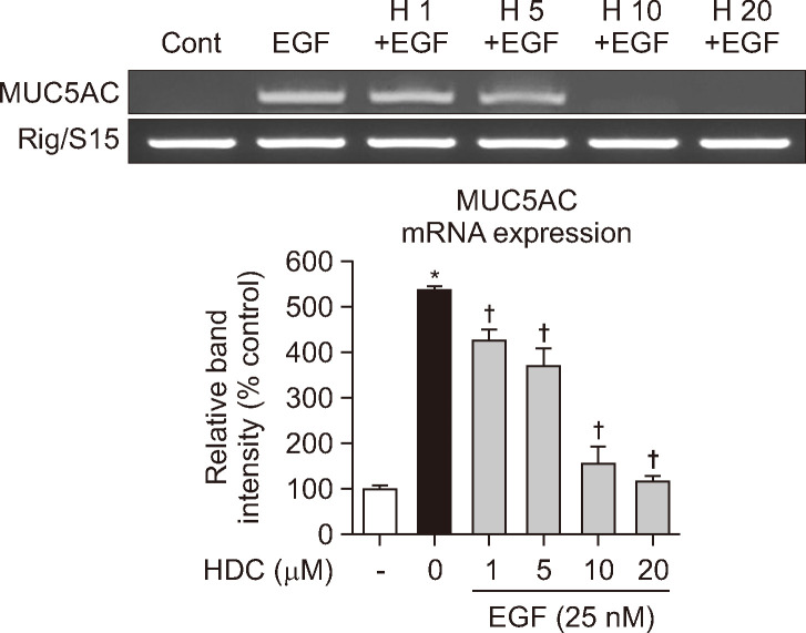 Hederacoside C Modulates EGF-Induced MUC5AC Mucin Gene Expression by Regulating the MAPK Signaling Pathway in Human Airway Epithelial Cells.