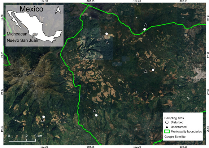 The impact of land use change on mycorrhizal fungi and their associations with rodents: insights from a temperate forest in Mexico.