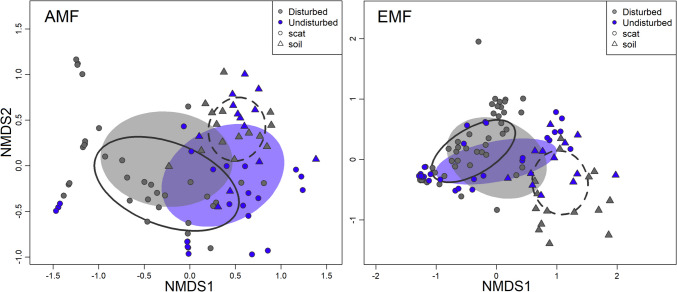 The impact of land use change on mycorrhizal fungi and their associations with rodents: insights from a temperate forest in Mexico.