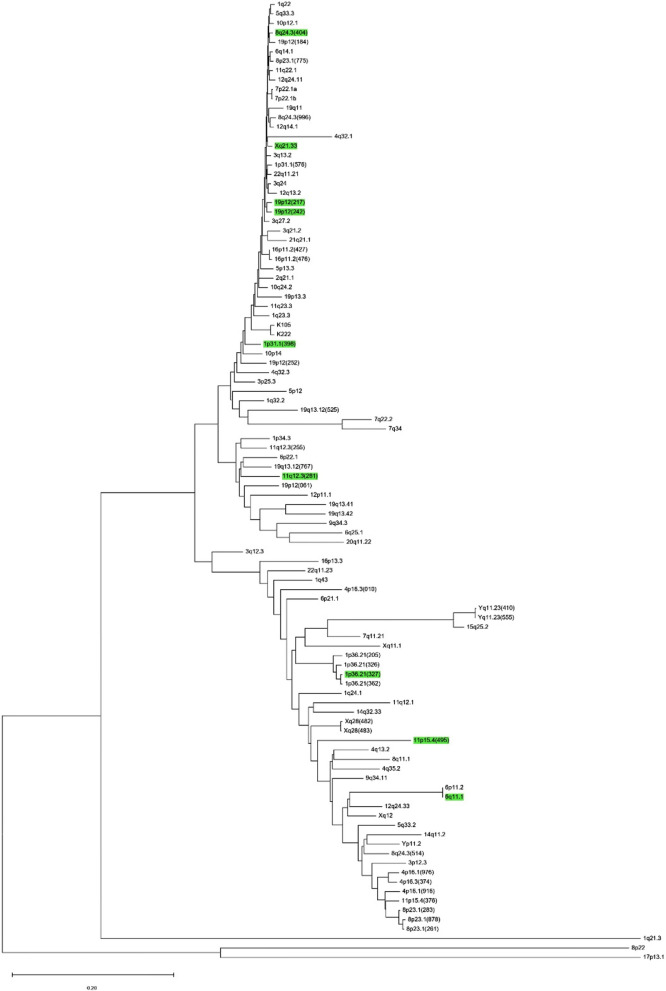 Compilation of all known HERV-K HML-2 proviral integrations.