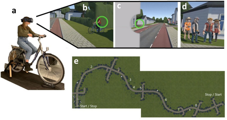 Cycling with hemianopia to explore road user detection and scanning behaviour in virtual reality.