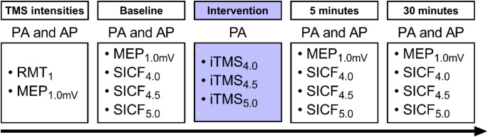 Neuromodulation by repetitive paired-pulse TMS at late I-wave intervals in older adults.