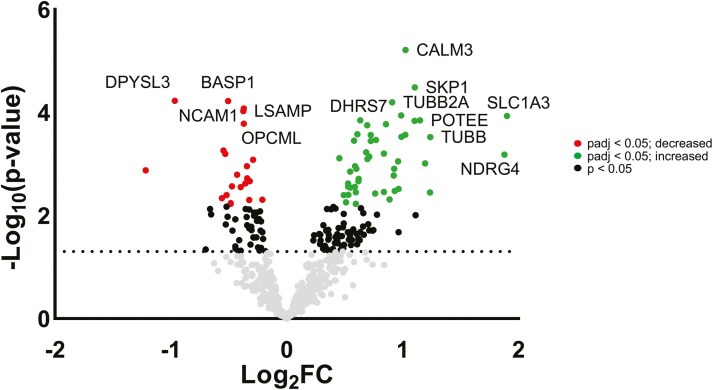Altered proteomics in brain extracellular vesicles from depressed individuals who died by suicide implicates synaptic processes.