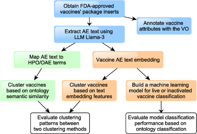 Unveiling differential adverse event profiles in vaccines via LLM text embeddings and ontology semantic analysis.
