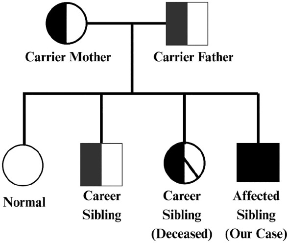 Unique Dermatological and Systemic Manifestations in a Classic Pediatric Case of Kindler Syndrome: A Case Report and Literature Review.