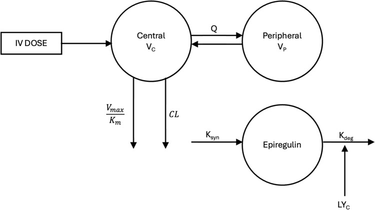 Population Pharmacokinetics and Pharmacodynamics of Fepixnebart (LY3016859) and Epiregulin in Patients with Chronic Pain.