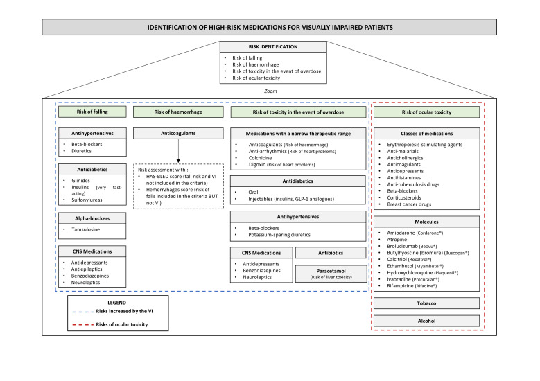 Prescribing medications to patients living with a visual impairment: a qualitative study of physicians to explore their usual clinical practices.