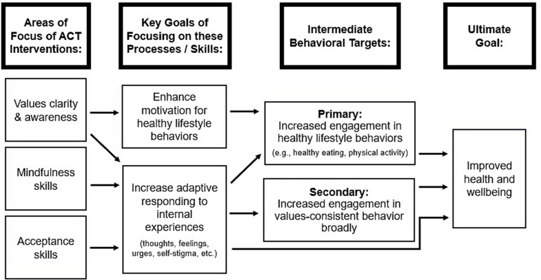 Acceptance and Commitment Therapy for Obesity.