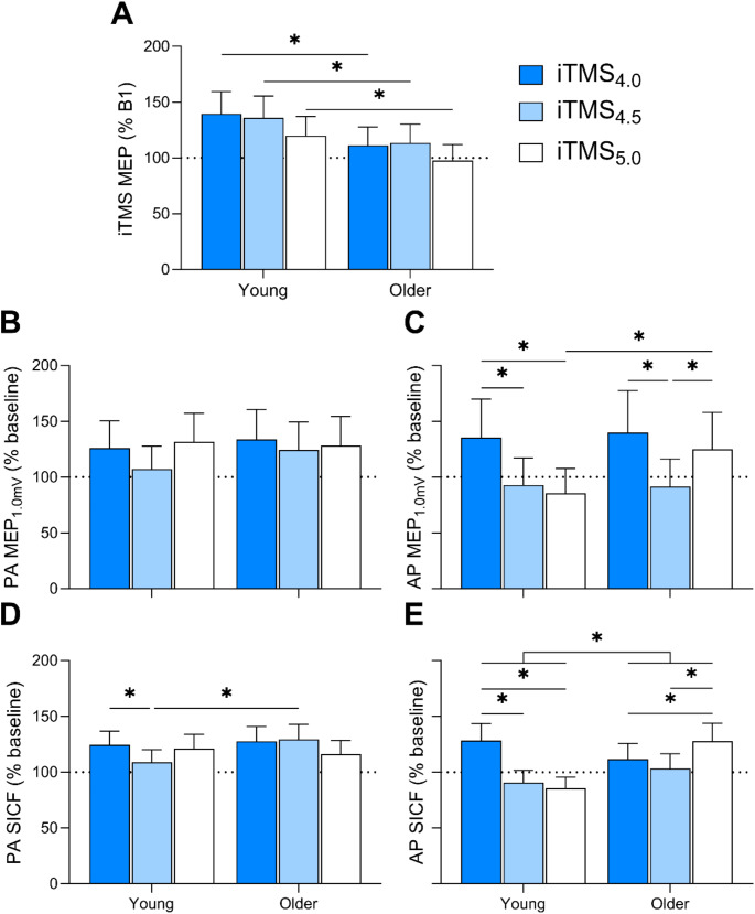 Neuromodulation by repetitive paired-pulse TMS at late I-wave intervals in older adults.