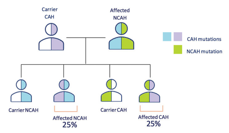 PGT-M as A Family Planning Tool for A Couple in Which The Woman Carries A Novel NCAH Variant and A CYP21A2 Variant also Present in Her Husband: A Case Report.