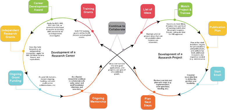 Research Advice for Early Career Transplant Infectious Disease Clinicians.