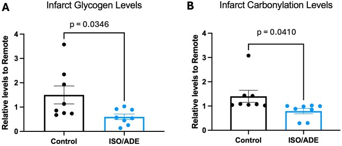 Preoperative consecutive treatment with isoprenaline and adenosine is safe and reduces ischaemia-reperfusion injury in a porcine model of cardiac surgery with recent acute myocardial infarction.