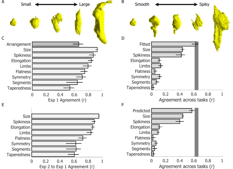 Human shape perception spontaneously discovers the biological origin of novel, but natural, stimuli.