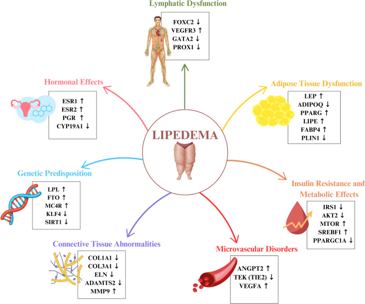 Therapeutic Applications of Ketogenic Diets in Lipedema: A Narrative Review of Current Evidence.