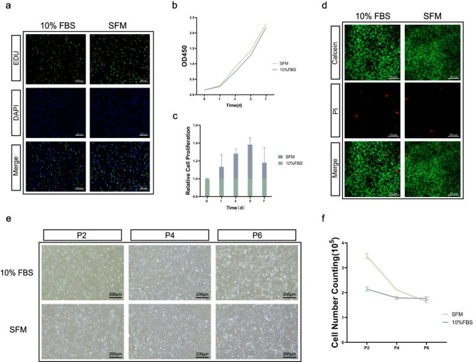 Serum-free endothelial cell culture medium for vascular smooth muscle cells sheet formation.