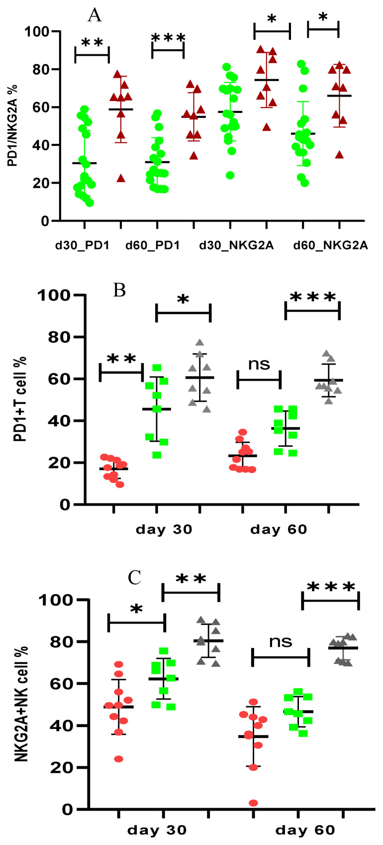 COVID-19 Induces Prolonged Immunological Exhaustion Leading to Relapse of Hematological Malignancies Except in Hematopoietic Cell Transplant Recipients.