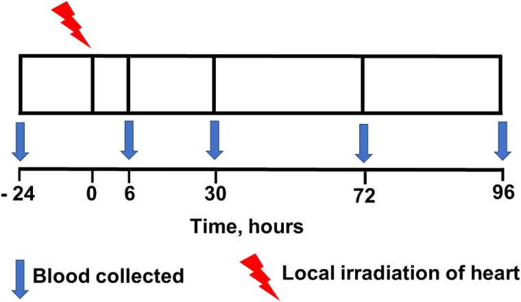 Advancing cell-free DNA as a biomarker of damage to heart caused by ionizing radiation.