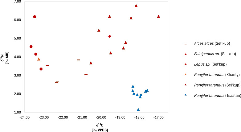 Multi-species entanglements and stable isotope signals (<i>δ</i><sup>13</sup>C and <i>δ</i><sup>15</sup>N) in modern reindeer herding communities of boreal northeast Asia.