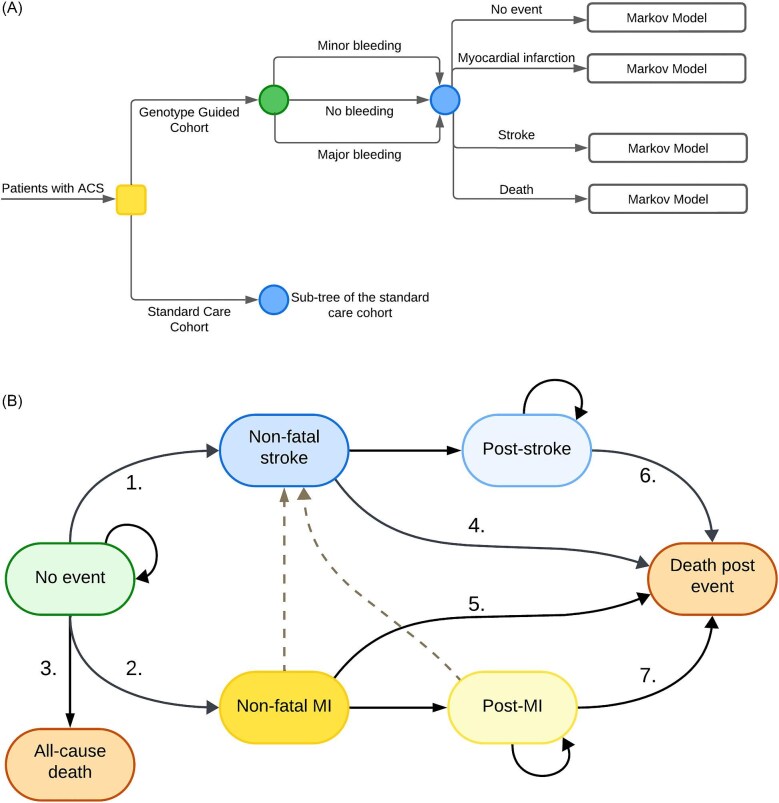 Cost-effectiveness of implementing a genotype-guided de-escalation strategy in patients with acute coronary syndrome.