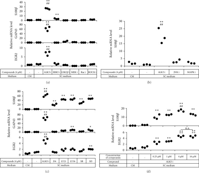 Corrigendum to "ALK5 i II Accelerates Induction of Adipose-Derived Stem Cells toward Schwann Cells through a Non-Smad Signaling Pathway".