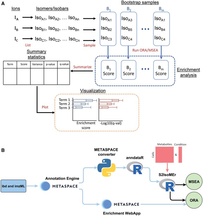 Enrichment analysis for spatial and single-cell metabolomics accounting for molecular ambiguity.