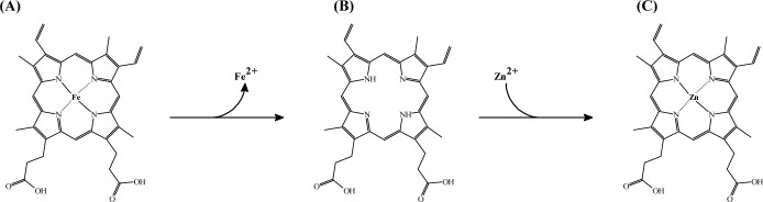 Zinc Protoporphyrin IX in Meat and Meat Products: Formation, Application, and Future Perspectives.