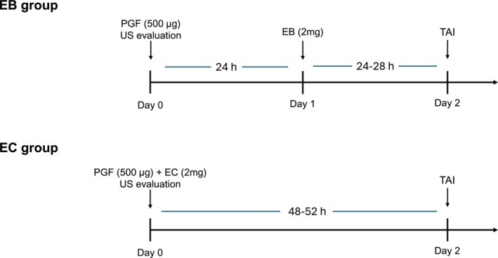 Efficacy of Short-Term Timed Artificial Insemination Protocols With Estradiol Esters and PGF2α in Girolando Cows.