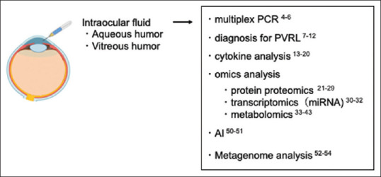 Current understanding of ocular fluid analysis in uveitis.