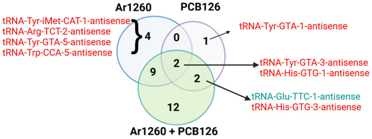 Polychlorinated Biphenyl Exposure Alters tRNA Transcriptome in High-Fat Diet-Fed Mouse Liver.