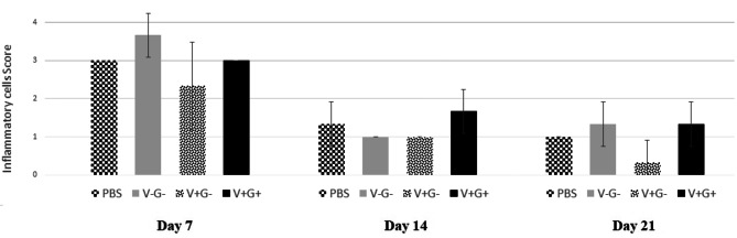 Fibromodulin-overexpressing fibroblast cells increase wound contraction, improve scar quality and enhance angiogenesis: an in-vivo study.
