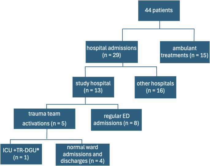 Prospective observation and merging of motor vehicle accident data with patient treatment data - First-time data merging for the TR-DGU<sup>®</sup>.