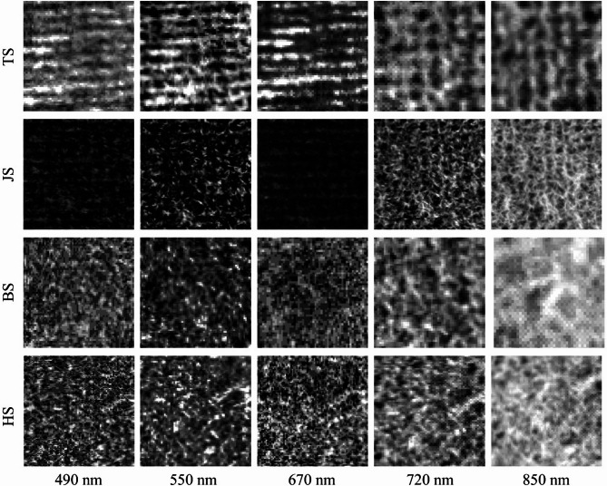 Unified estimation of rice canopy leaf area index over multiple periods based on UAV multispectral imagery and deep learning.