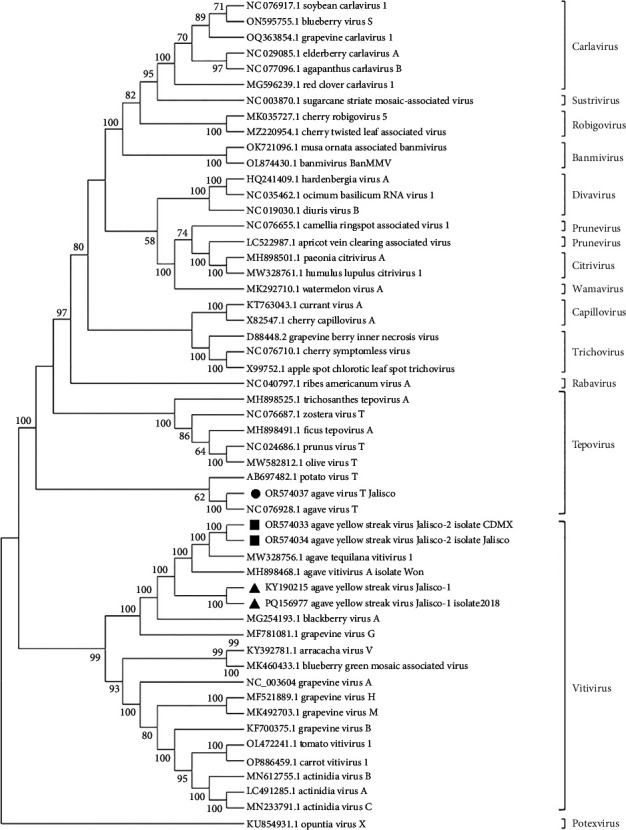 High-Throughput Sequencing Detects a Viral Complex in <i>Agave Tequilana</i> Plants.