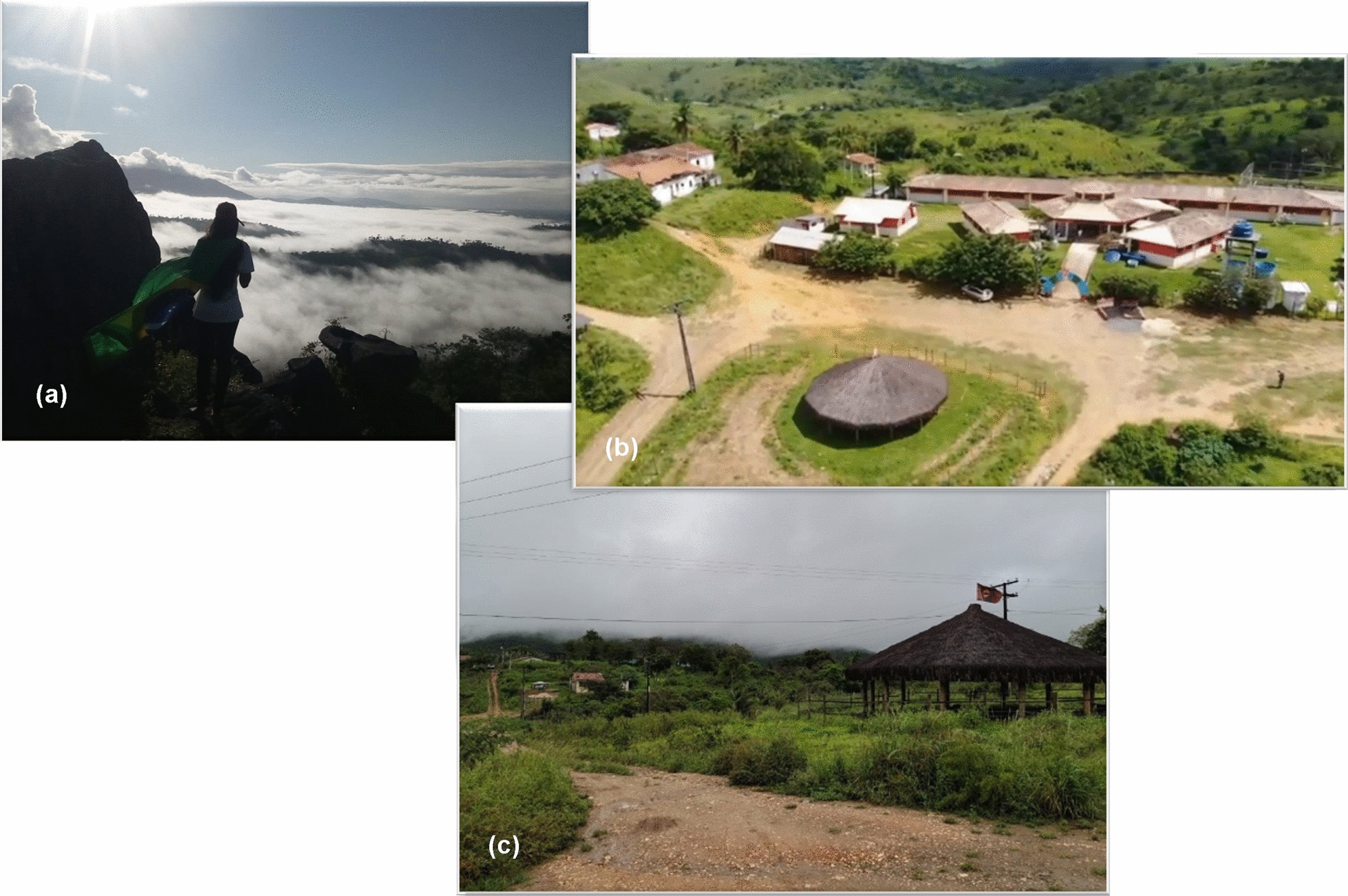 Participatory Ethnobotany in indigenous health: study conducted by a Pataxó Hãhãhãi ethnobotanist among his people, Brazil.