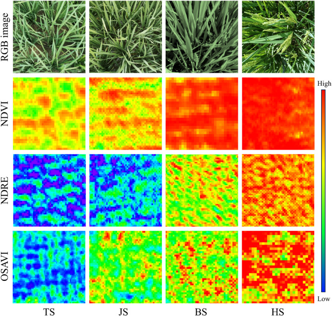 Unified estimation of rice canopy leaf area index over multiple periods based on UAV multispectral imagery and deep learning.