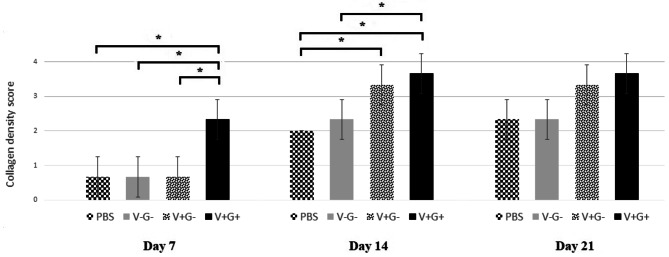 Fibromodulin-overexpressing fibroblast cells increase wound contraction, improve scar quality and enhance angiogenesis: an in-vivo study.