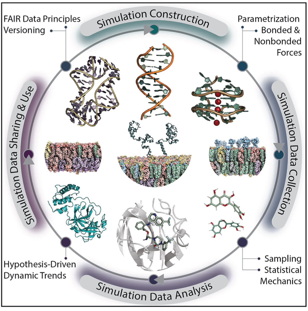 Robustness in biomolecular simulations: Addressing challenges in data generation, analysis, and curation.