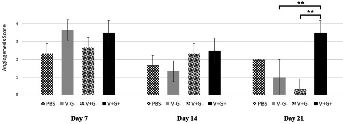 Fibromodulin-overexpressing fibroblast cells increase wound contraction, improve scar quality and enhance angiogenesis: an in-vivo study.