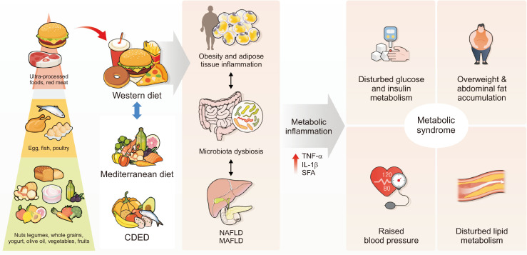 Metabolic Disorders and Inflammatory Bowel Diseases.