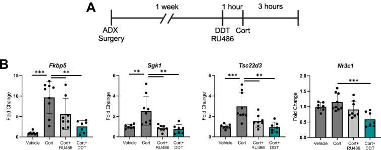 <i>In vitro</i> to <i>in vivo</i> evidence for chemical disruption of glucocorticoid receptor signaling.