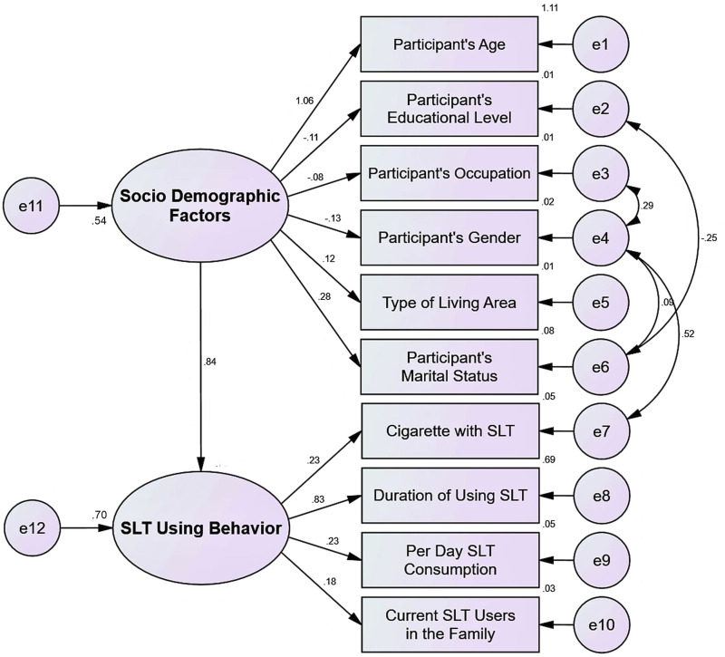 Smokeless Tobacco (SLT) Consumption Behavior and Associated Socio-Demographic Factors Among Bangladeshi Dental Patients.