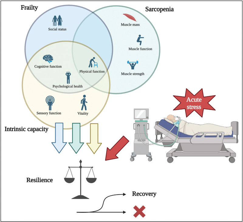 Sarcopenia and frailty in critical illness.