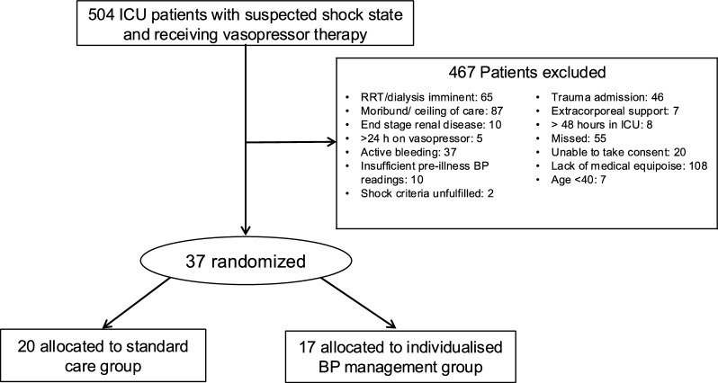 A pilot multicenter randomized controlled trial on individualized blood pressure targets versus standard care among critically ill patients with shock.