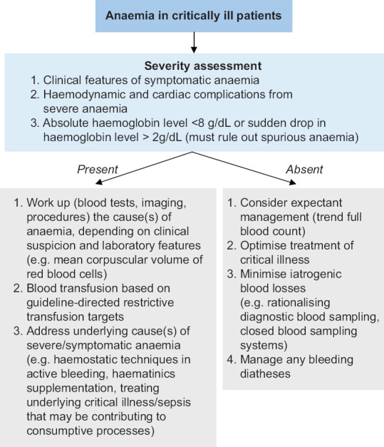 Management of anaemia in critically ill adults.