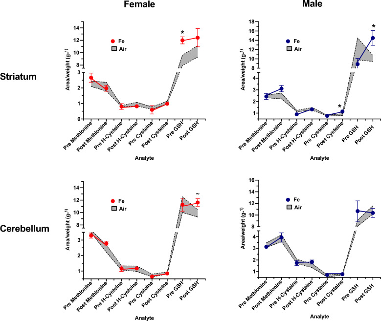 Brain iron accumulation in neurodegenerative disorders: Does air pollution play a role?