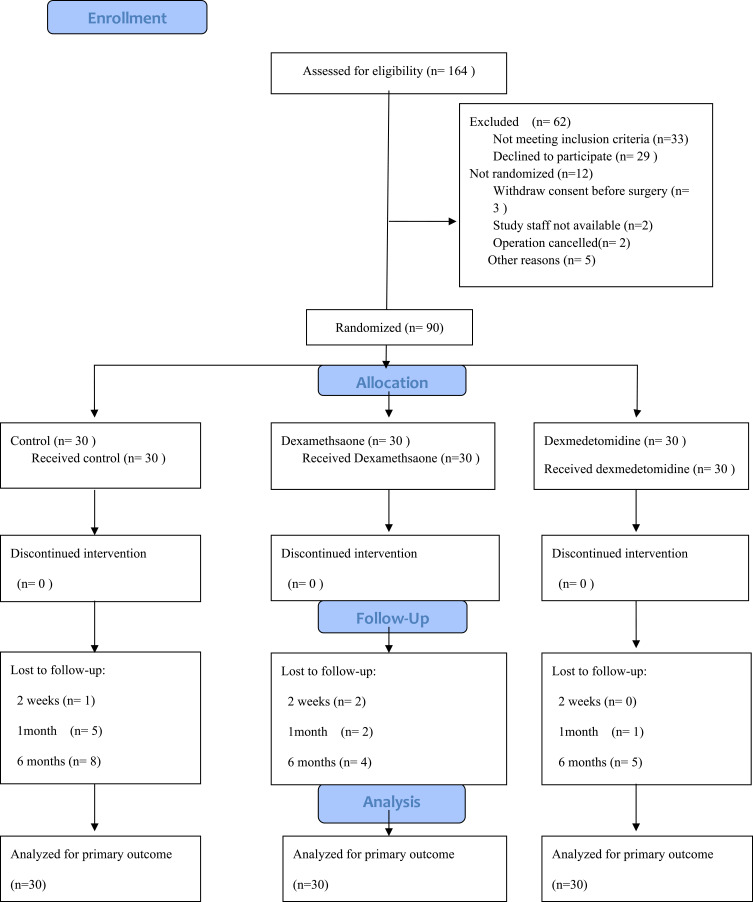 Perineural Dexamethasone is More Efficient Than Perineural Dexmedetomidine in Prolonging Popliteal Sciatic and Saphenous Nerve Blocks: A Single-Center, Prospective, Double-Blinded, Randomized Controlled Trial.