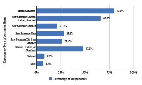Exposure to Community Violence and Adverse Childhood Experiences in the Emergency Department.