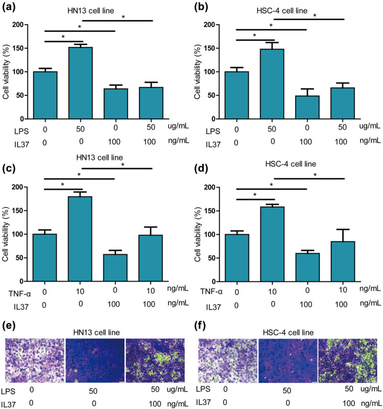 Interleukin-37 mediates the anti-oral tumor activity in oral cancer through STAT3.
