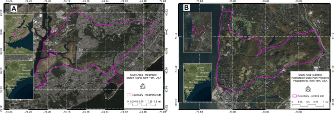 Effects of vasectomy on breeding-related movement and activity in free-ranging white-tailed deer.